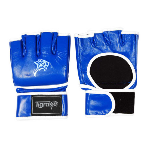 MMA Gloves